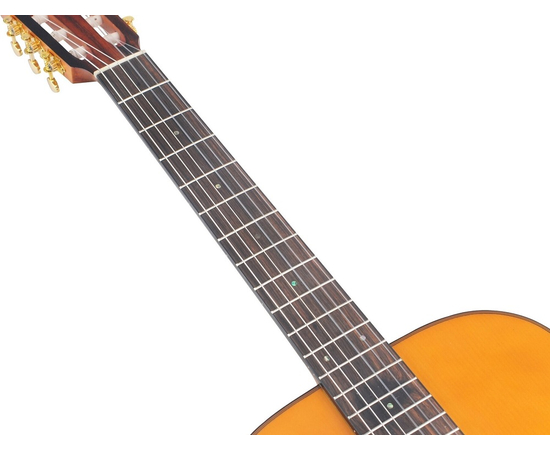 Классическая гитара VALENCIA VA434VNA