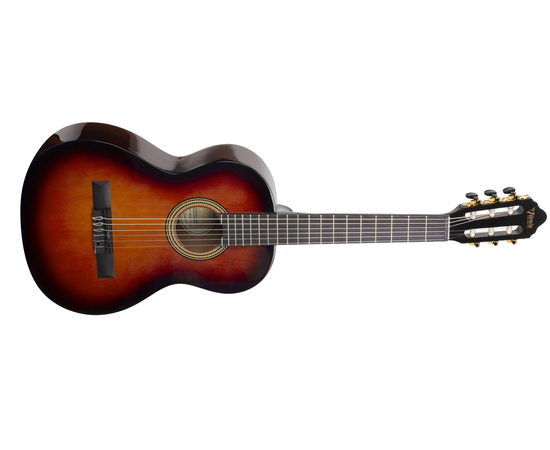 Классическая гитара ( 1/2) VALENCIA VC262CSB