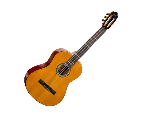 Классическая гитара ( 1/2) VALENCIA VC262 - 149341 за 0 грн. | 4Club