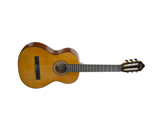 Классическая гитара ( 1/2) VALENCIA VC262