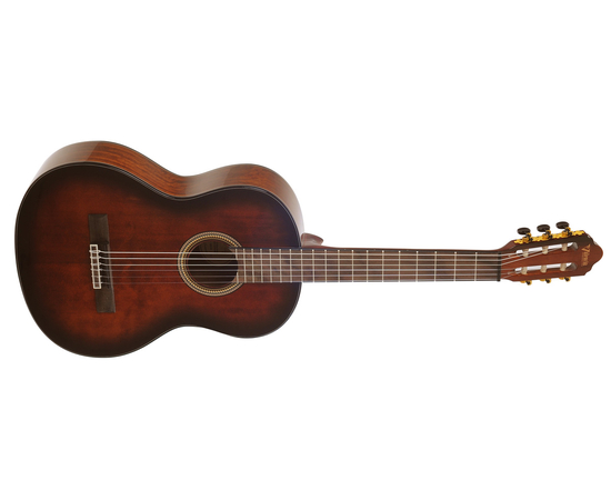Классическая гитара VALENCIA VC564BSB