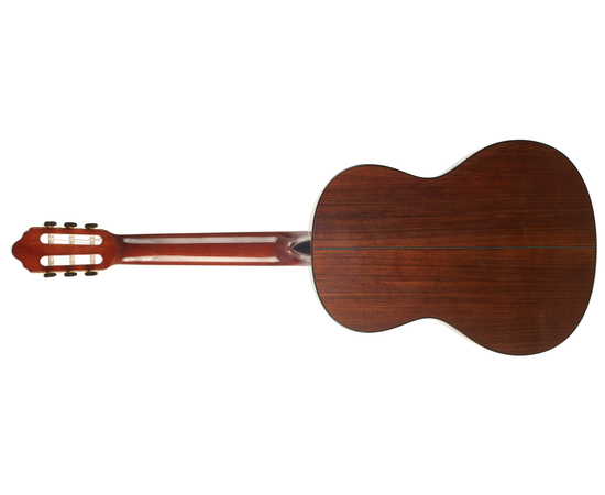 Классическая гитара VALENCIA VC564BSB