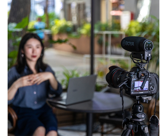 Микрофон-пушка Boya BY-BM3051S