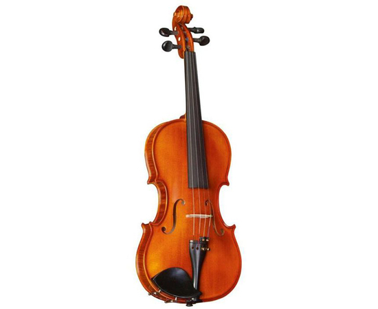 Скрипка STRUNAL 175WA - 36213 за 0 грн. | 4Club