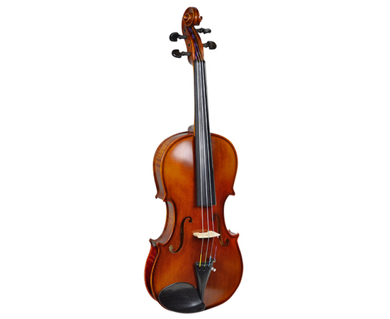 Скрипка STRUNAL 206 4/4 - 149451 за 0 грн. | 4Club