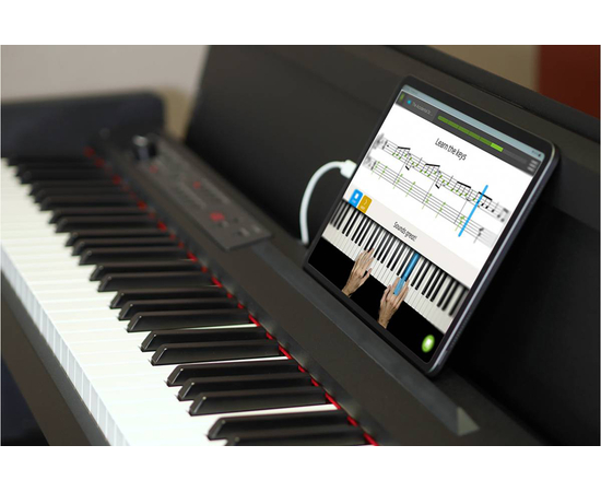 Цифровое пианино KORG LP-380-RW U