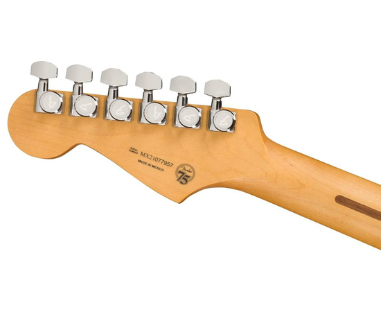 Электрогитара FENDER PLAYER PLUS STRATOCASTER MN TQS