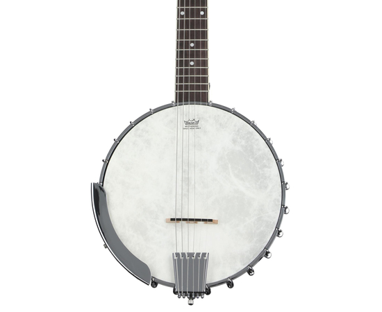 Банджо Washburn B6