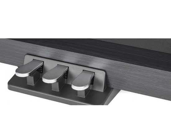 Цифровое пианино Medeli DP260