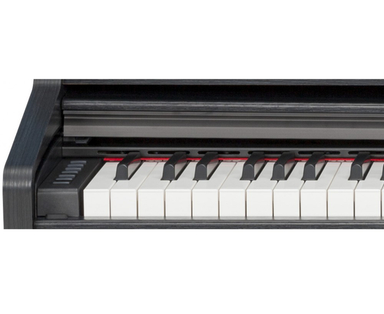 Цифровое пианино Medeli DP260