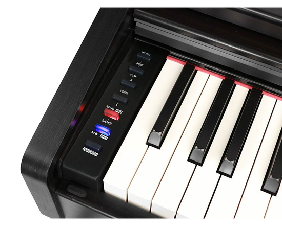 Цифровое пианино Medeli DP260