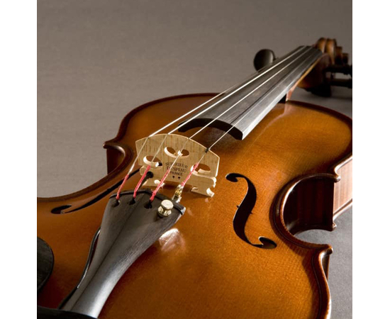 Звукосниматель для скрипки Fishman PRO-V30-0VI