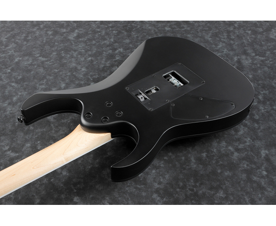 Электрогитара IBANEZ RG320EXZ BKF