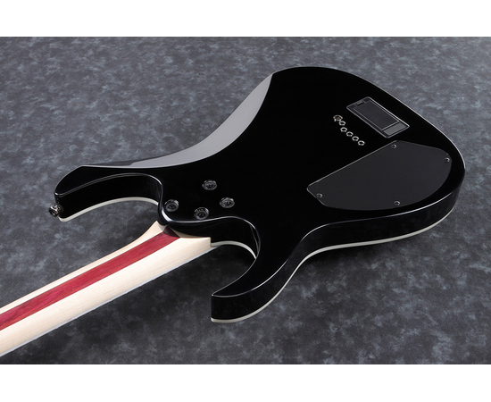 Электрогитара IBANEZ RGIB21 BK