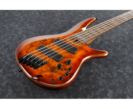 Пятиструнная бас-гитара IBANEZ SRMS805-BTT