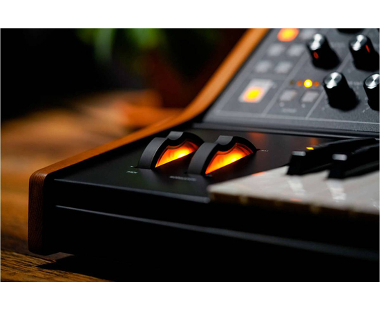 Аналоговый синтезатор MOOG SUBSEQUENT 25