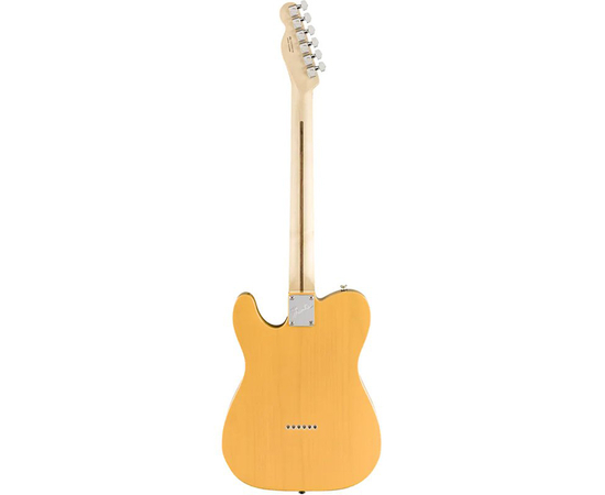 Электрогитара FENDER LIMITED EDITION AMERICAN PERFORMER TELECASTER HUM BTB