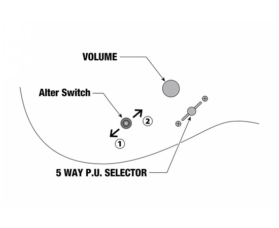 Электрогитара IBANEZ RG1120PBZ-CKB