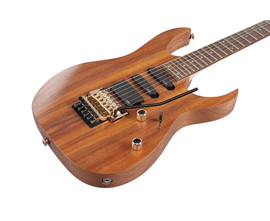 Электрогитара IBANEZ RG6PKAG-NTF