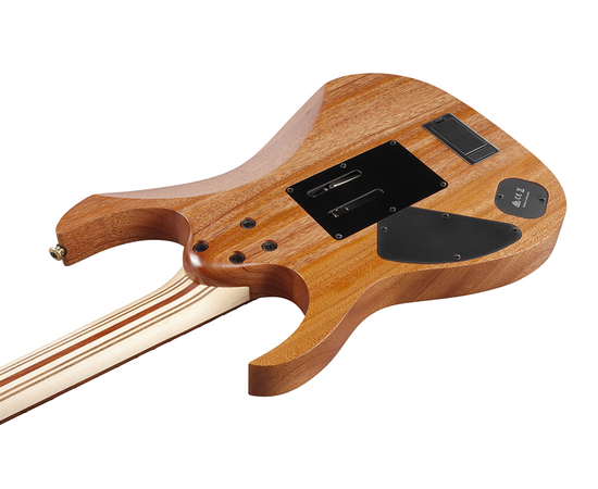 Электрогитара IBANEZ RG6PKAG-NTF
