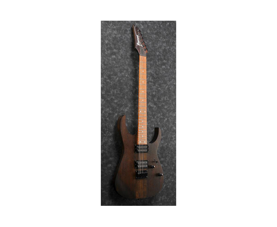 Электрогитара IBANEZ RGRT421-WNF