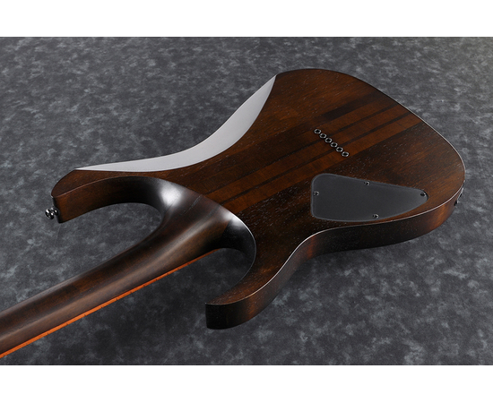 Электрогитара IBANEZ RGRT421-WNF