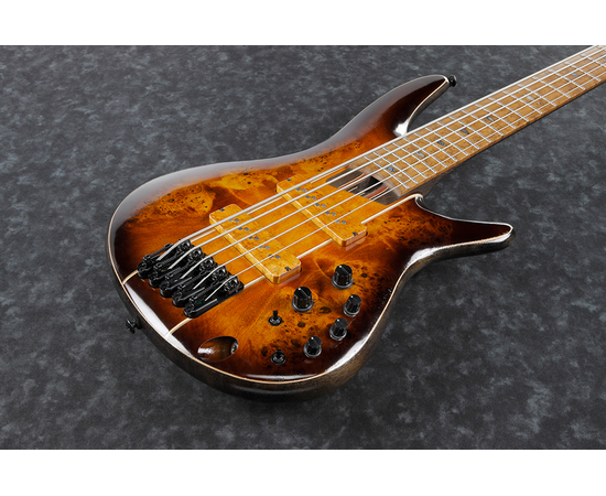 Пятиструнная бас-гитара IBANEZ SR5PBLTD DEL