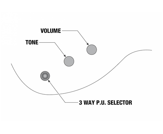Семиструнная электрогитара IBANEZ XPTB720-BKF