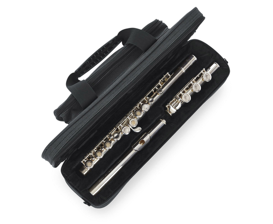 Кейс для флейты GATOR GLFLUTE A