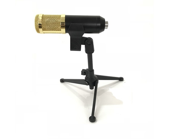 Конденсаторный микрофон S-2000 - 150895 за 1350 грн. | 4Club