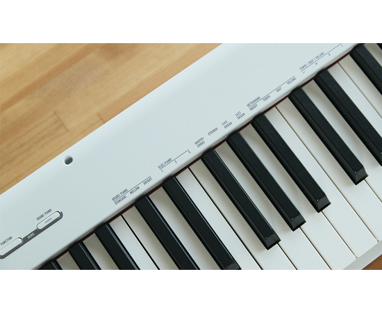 Цифрове піаніно CASIO CDP-S110WE