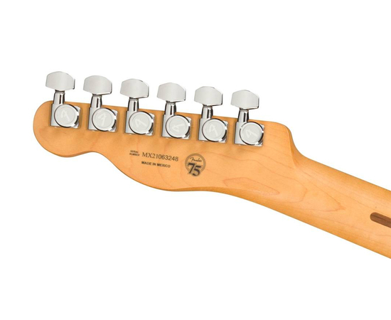 Электрогитара FENDER PLAYER PLUS TELECASTER PF SVS