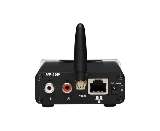 Сетевой медиаплеер DV audio MP-30W