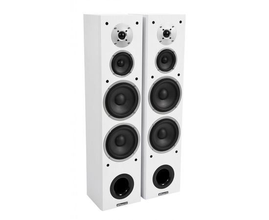 Підлогова акустика (пара) MT-POWER PERFORMANCE (W)-F (Front) - 151411 за 20638 грн. | 4Club