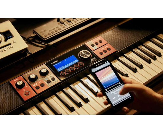 Синтезатор CASIO CT-S1000VСинтезатор CASIO CT-S1000V