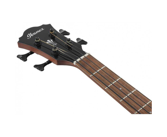 Электроакустическая бас-гитара IBANEZ AEGB24E-BKH