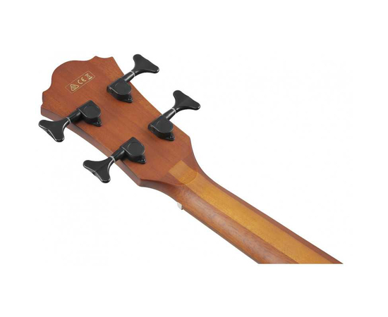 Электроакустическая бас-гитара IBANEZ AEGB24E-BKH