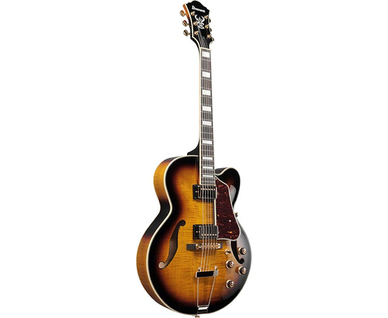 Напівакустична гітара IBANEZ AF95FM-AYS