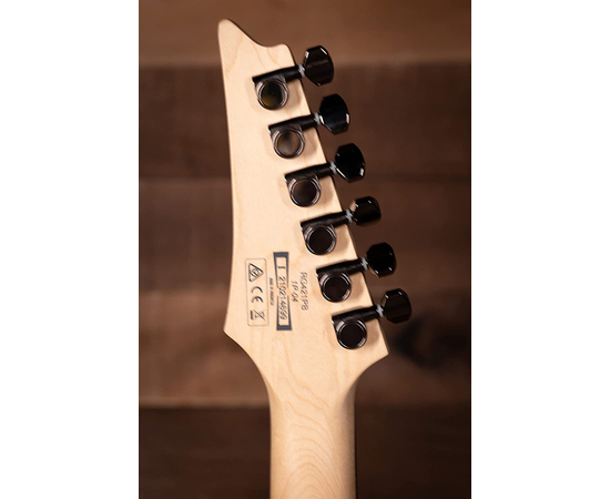 Электрогитара IBANEZ RG421PB CHF