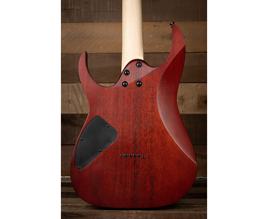 Электрогитара IBANEZ RG421PB CHF