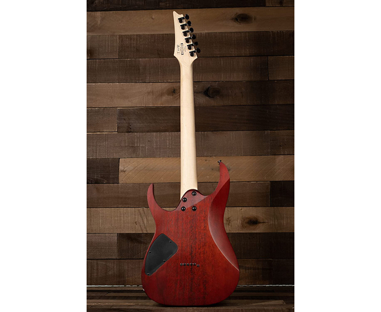 Электрогитара IBANEZ RG421PB CHF
