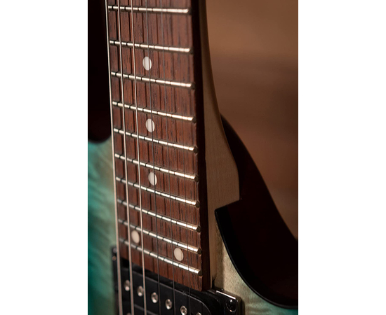 Электрогитара IBANEZ RG421PB CHF