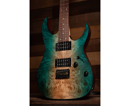 Электрогитара IBANEZ RG421PB CHF