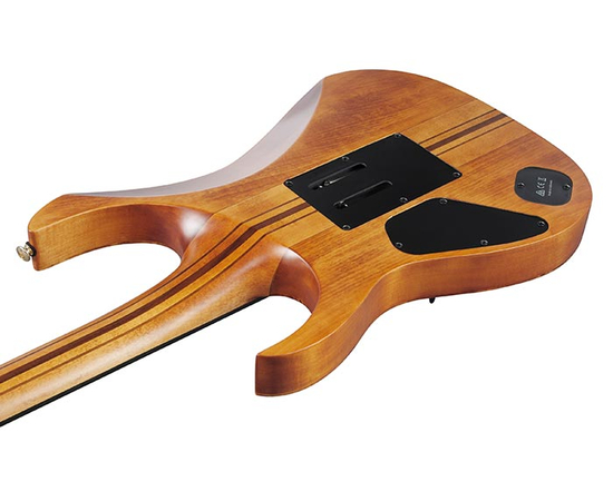 Электрогитара IBANEZ RGT1220PB-ABS