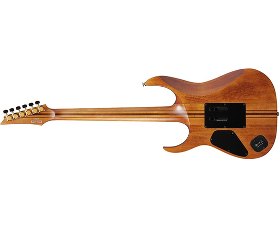 Электрогитара IBANEZ RGT1220PB-ABS