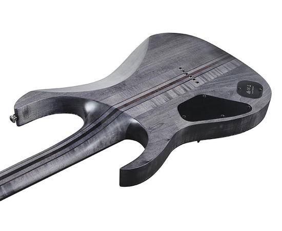 Электрогитара IBANEZ RGT1221PB-DTF