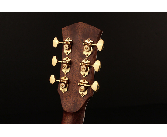 Акустическая гитара CORT GOLD D8 (Natural)