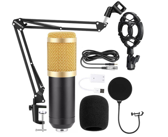 Мікрофонний набір HL AUDIO BM-800 - 152162 за 1122 грн. | 4Club