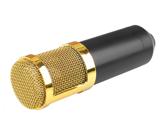 Мікрофонний набір HL AUDIO BM-800