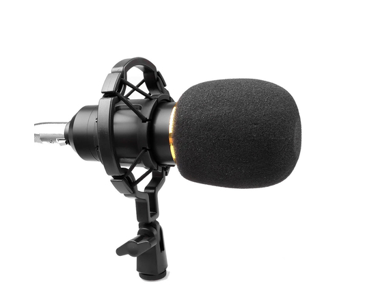 Мікрофонний набір HL AUDIO BM-800